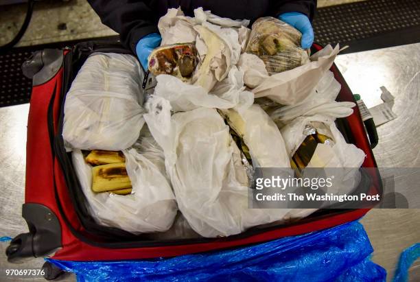 Agnes Smith, an Agriculture Technician with Customs and Border Protection , finds cooked beef innards, whole chickens, and tamales in a suitcase...