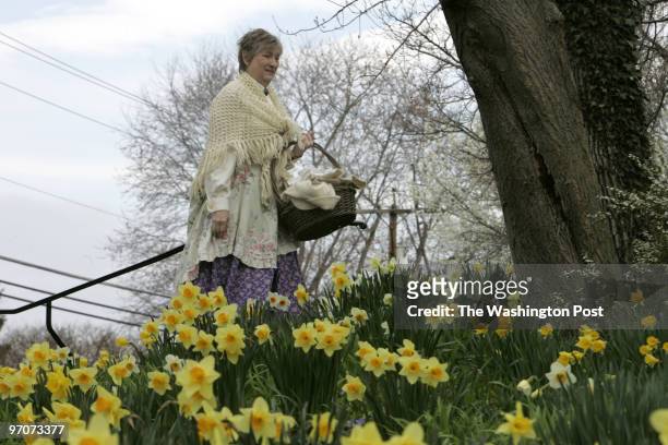 Hx-daffodils DATE:April 05, 2008 CREDIT: Mark Gail/TWP Ellicott City, Md. ASSIGNMENT#: 200598 EDITED BY: mg Master gardener Pat Greenwald entered the...
