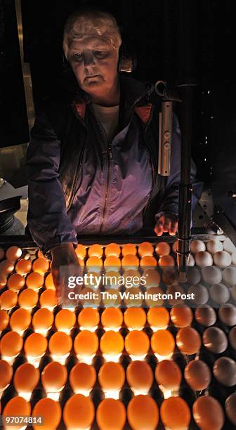 March 4, 2008 Slug: me-chickens Assignment no: 198XXX Westminster, MD area Photographer: Gerald Martineau the chicken and egg industry At R. W....