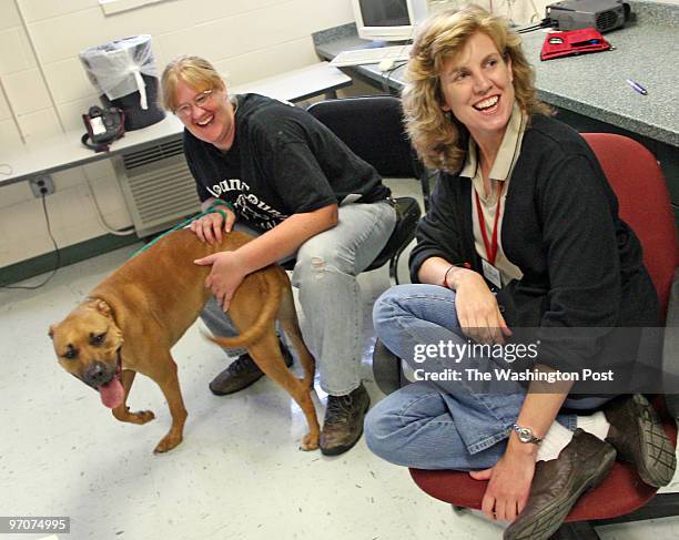 34 Loudoun County Animal Shelter Photos and Premium High Res Pictures - Getty Images 34 Loudoun County Animal Shelter Photos and Premium High Res Pictures - Getty Images