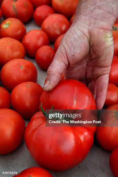 Farmers12 Photos by Michael Williamson NEG#192226 7/05/07: Most of the produce available at the East Columbia Branch Library farmers market is from...