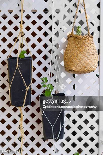 pot hanging homemade system - macrame stock-fotos und bilder