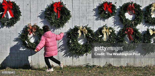 State Senator Mac Middleton sells seasonal trees, wreaths and garlands from his family farm, one of many such enterprises across the state. Pictured,...