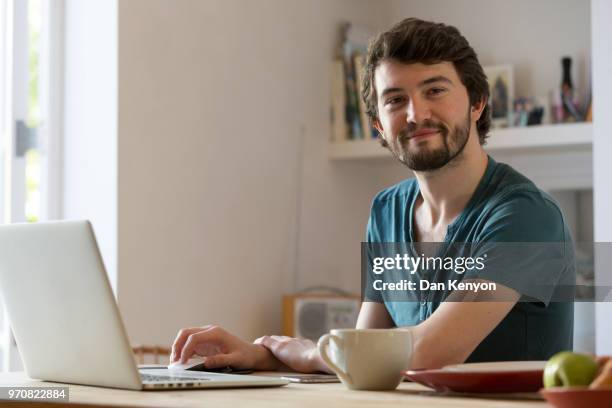 man in kitchen using laptop - dan kenyon bildbanksfoton och bilder