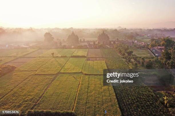 plaosan temple - campo de arroz fotografías e imágenes de stock