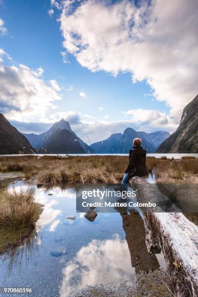 man looking at view, milford sound, new zealand - pico mitre fotografías e imágenes de stock