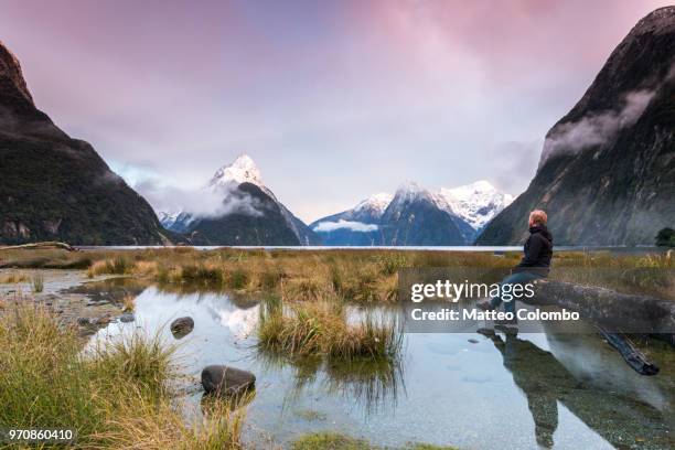 man looking at view, milford sound, new zealand - southland new zealand stock pictures, royalty-free photos & images