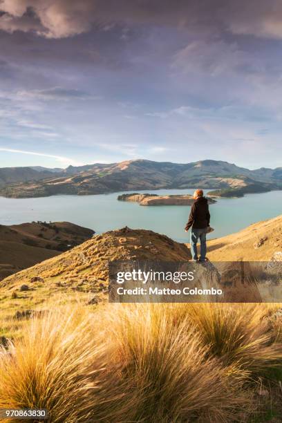 hiker looking at view at sunrise, new zealand - クライストチャーチ ストックフォトと画像