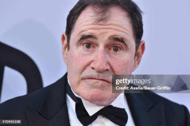 Actor Richard Kind arrives at the American Film Institute's 46th Life Achievement Award Gala Tribute to George Clooney on June 7, 2018 in Hollywood,...