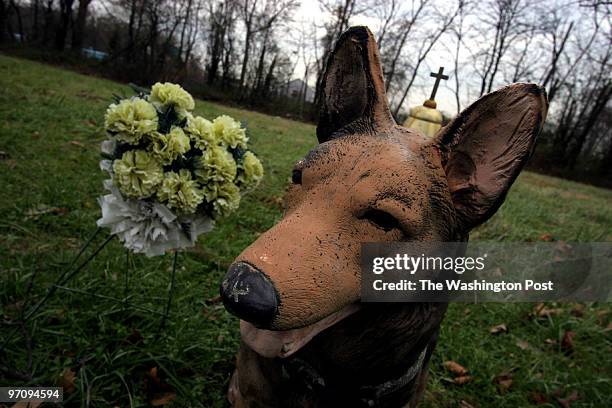 Elkridge, MD. 12/7/05 Joyce Williams is a Baltimore city pet lover who has four animals buried at Rosa Bonheur Memorial Park in Elkridge. The...