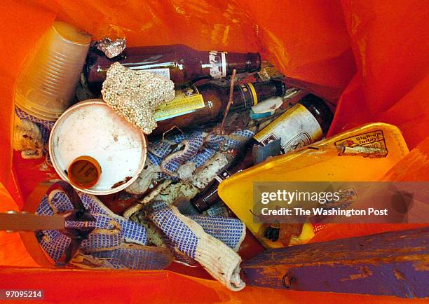 April 1, 2006 Slug: pw-cleanup sassignment Lake Ridge Marina Lake Ridge, VA Photographer: Gerald Martineau river cleanup misc. Pieces of junk lie in...