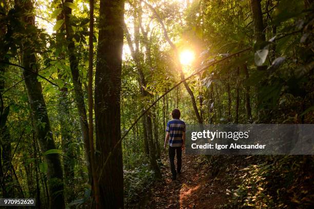 jeune homme bénéficiant d’un sentier à rio de janeiro - mata atlantica photos et images de collection