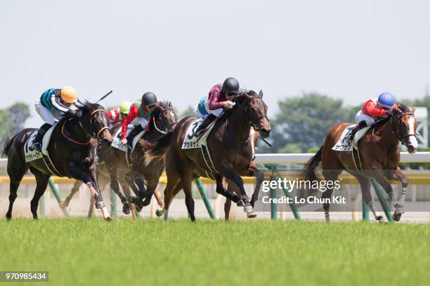 Jockey Mirco Demuro riding Akanesasu wins the Race 6 at Tokyo Racecourse on June 3, 2018 in Tokyo, Japan.