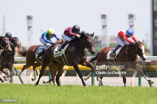 Jockey Mirco Demuro riding Akanesasu wins the Race 6 at Tokyo Racecourse on June 3, 2018 in Tokyo, Japan.