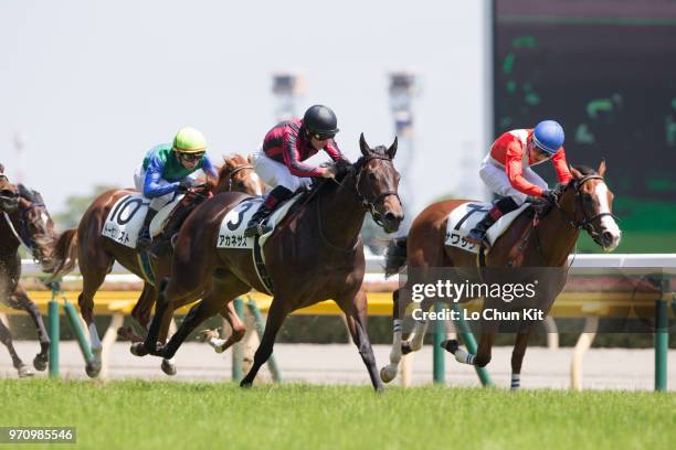 Jockey Mirco Demuro riding Akanesasu wins the Race 6 at Tokyo Racecourse on June 3, 2018 in Tokyo, Japan.