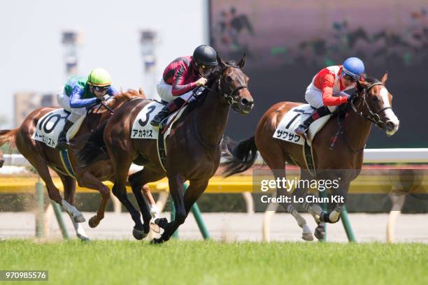 Jockey Mirco Demuro riding Akanesasu wins the Race 6 at Tokyo Racecourse on June 3, 2018 in Tokyo, Japan.