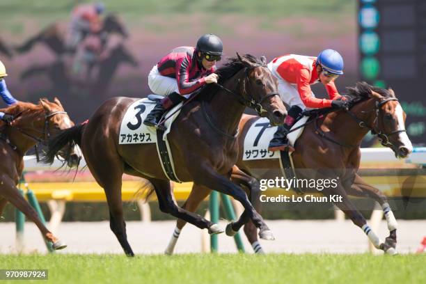 Jockey Mirco Demuro riding Akanesasu wins the Race 6 at Tokyo Racecourse on June 3, 2018 in Tokyo, Japan.