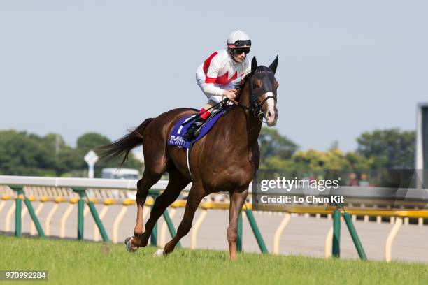 Jockey Mirco Demuro riding Suave Richard during the Race 11 Yasuda Kinen at Tokyo Racecourse on June 3, 2018 in Tokyo, Japan.