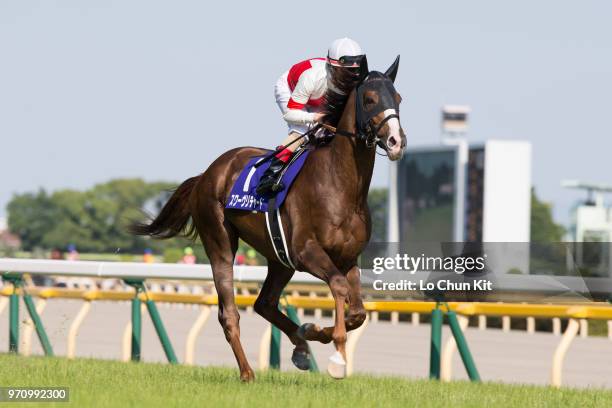 Jockey Mirco Demuro riding Suave Richard during the Race 11 Yasuda Kinen at Tokyo Racecourse on June 3, 2018 in Tokyo, Japan.