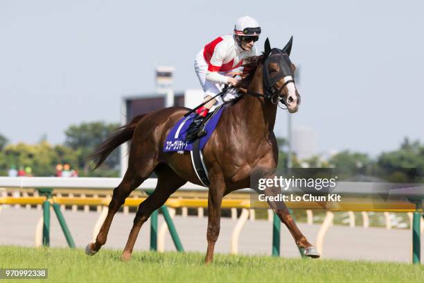 Jockey Mirco Demuro riding Suave Richard during the Race 11 Yasuda Kinen at Tokyo Racecourse on June 3, 2018 in Tokyo, Japan.