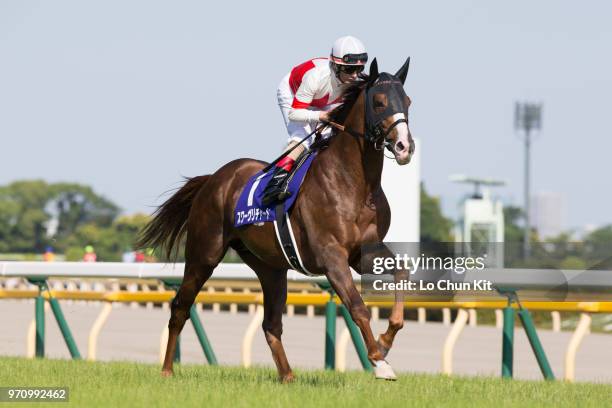 Jockey Mirco Demuro riding Suave Richard during the Race 11 Yasuda Kinen at Tokyo Racecourse on June 3, 2018 in Tokyo, Japan.