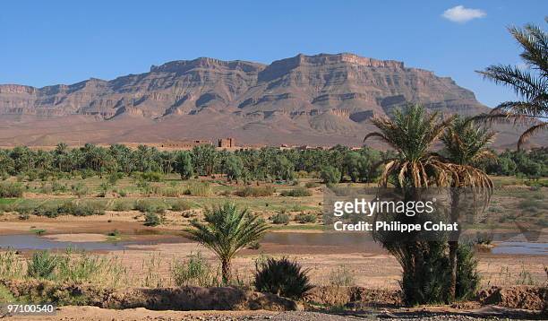 draa valley - zagora stock pictures, royalty-free photos & images