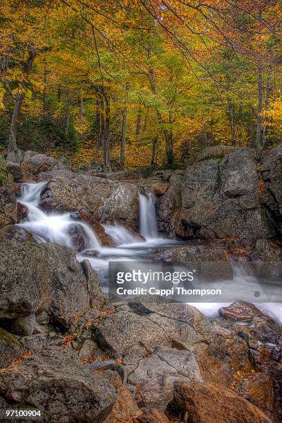 new hampshire waterfall - cappi thompson 個照片及圖片檔