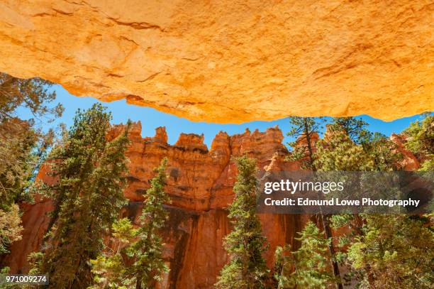 rock overhang in bryce canyon national park. - rock overhang foto e immagini stock