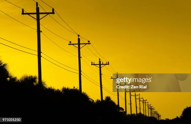 telephone poles and power lines against yellow sky - power cable bildbanksfoton och bilder