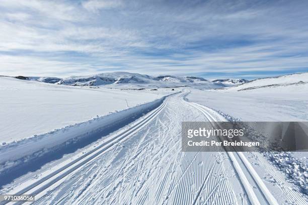 cross country skiing heaven_groomed ski trail hallingskarvet_norway - cross country skiing stock pictures, royalty-free photos & images