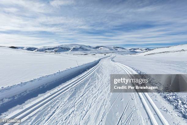 cross country skiing heaven_groomed ski trail hallingskarvet_norway - cross country skiing bildbanksfoton och bilder