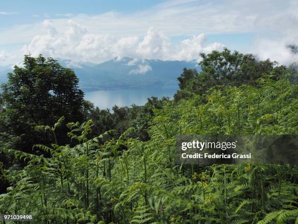 lake maggiore seen from monte carza - cannobio fotografías e imágenes de stock