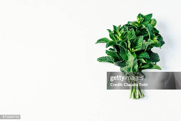 mint - herb stockfoto's en -beelden