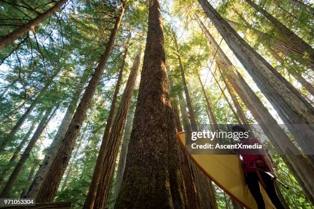 paddle board adventure - british columbia coast mountains stock pictures, royalty-free photos & images