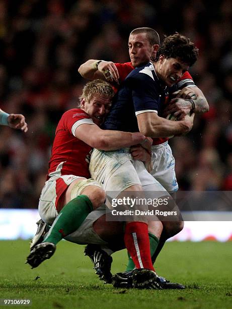 Ritchie Rees 354 Rees Davies Stock Photos, High-Res Pictures, and Images - Getty Images
