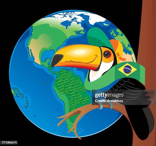 brazil and toucan - rio amazonas stock illustrations