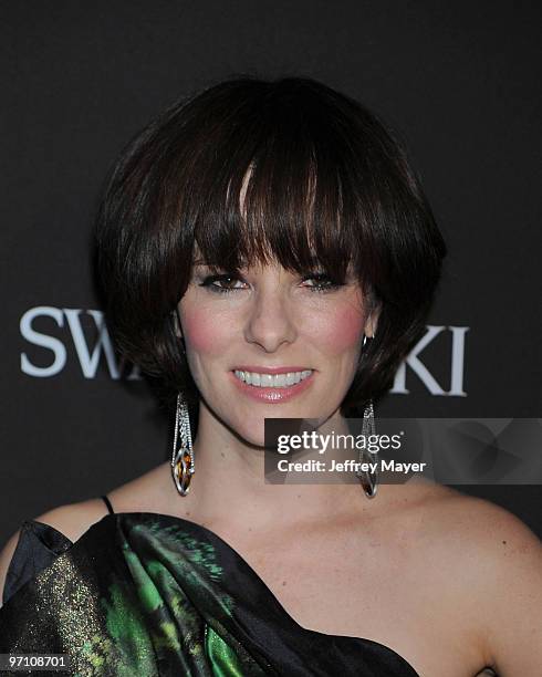 Actress Parker Posey arrives at the 12th Annual Costume Designers Guild Awards at The Beverly Hilton hotel on February 25, 2010 in Beverly Hills,...