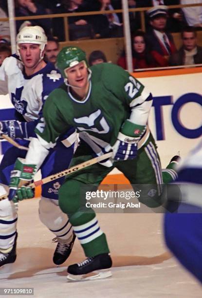 Ed Kastelic of the Hartford Whalers skates against Al Iafrate of the Toronto Maple Leafs during NHL game action on February 14, 1990 at Maple Leaf...