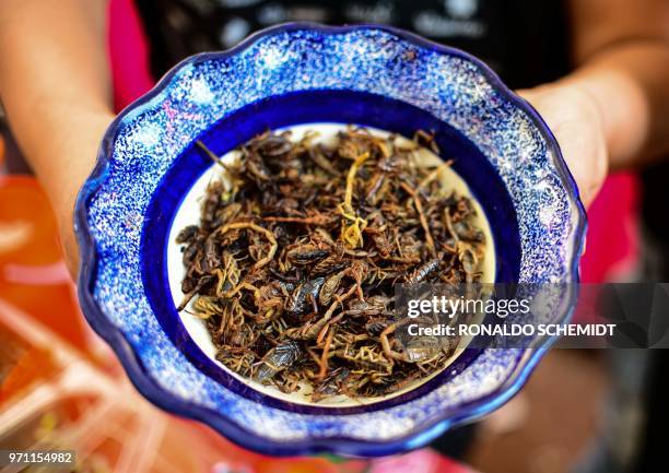 Scorpions are offered at a market in Mexico City on June 10, 2018. - Some restaurants and markets in Mexico City offer pre-Hispanic dishes such as...