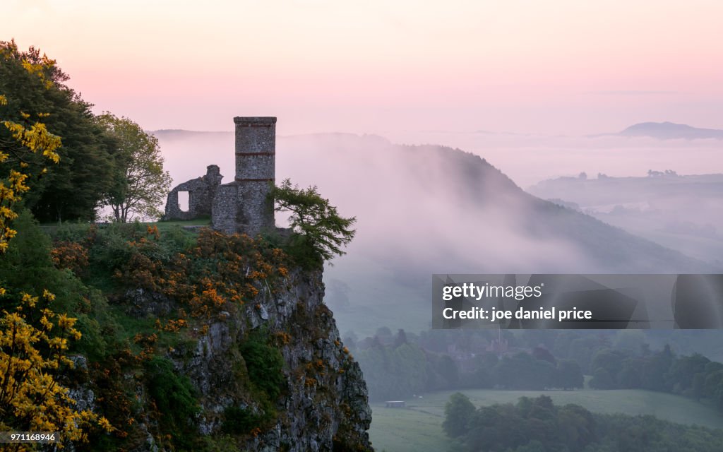 Sunrise, The Tower, Kinnoull Hill, Perth, Scotland