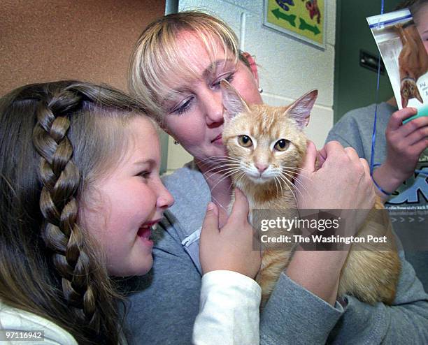 34 Loudoun County Animal Shelter Photos and Premium High Res Pictures - Getty Images 34 Loudoun County Animal Shelter Photos and Premium High Res Pictures - Getty Images
