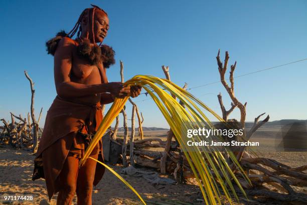 red ochred himba woman preparing makalani palm fronds to be woven into baskets, in evening light, puros village, near sesfontein, namibia (model release) - african woven baskets stock pictures, royalty-free photos & images