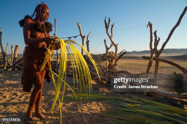 red ochred himba woman preparing makalani palm fronds to be woven into baskets, in evening light, puros village, near sesfontein, namibia (model release) - african woven baskets stock pictures, royalty-free photos & images