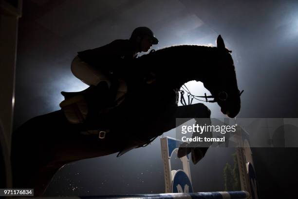 silhouette of a horse and a rider jumping over hurdle - equestrian event stock pictures, royalty-free photos & images