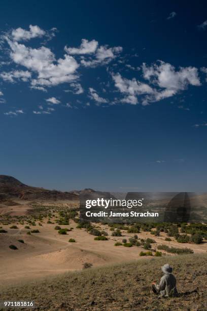 seated traveler in safari hat looks down the hoarusib riverbed from on high, mountain range in background, puros, north of sesfontein, nambia - james strachan stock pictures, royalty-free photos & images