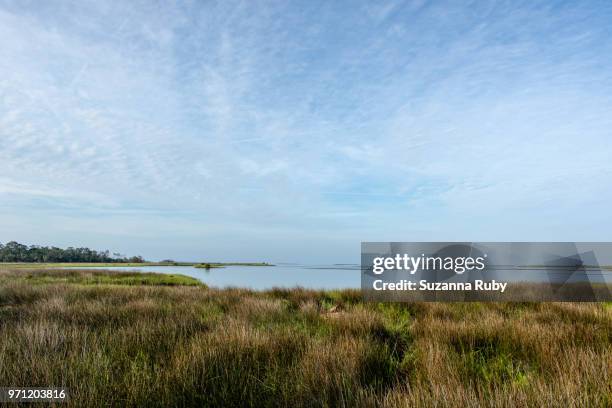 Shellmound Cedar Key Cedar Key Photos and Premium High Res Pictures - Getty Images