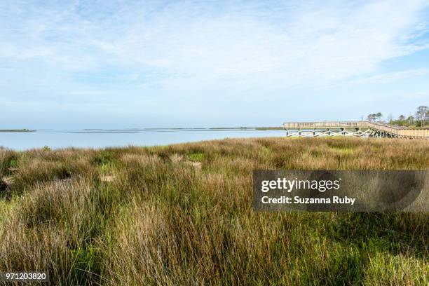 Shellmound Cedar Key Cedar Key Photos and Premium High Res Pictures - Getty Images