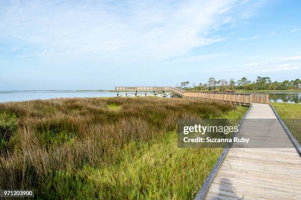 Shellmound Cedar Key Cedar Key Photos and Premium High Res Pictures - Getty Images