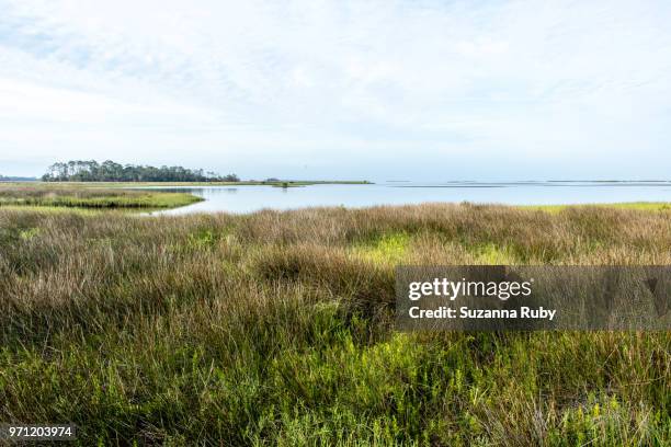 Shellmound Cedar Key Cedar Bayou Photos and Premium High Res Pictures - Getty Images