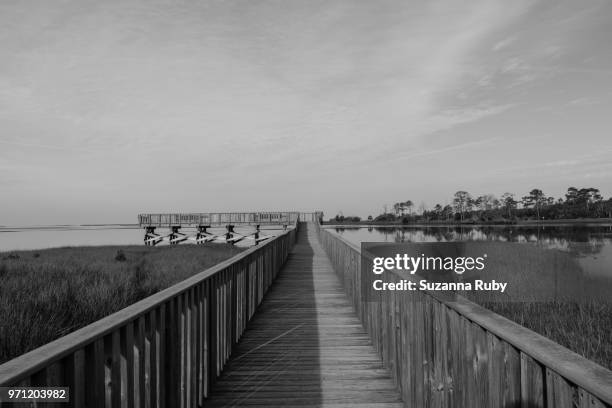 Shellmound Cedar Key Cedar Key Photos and Premium High Res Pictures - Getty Images
